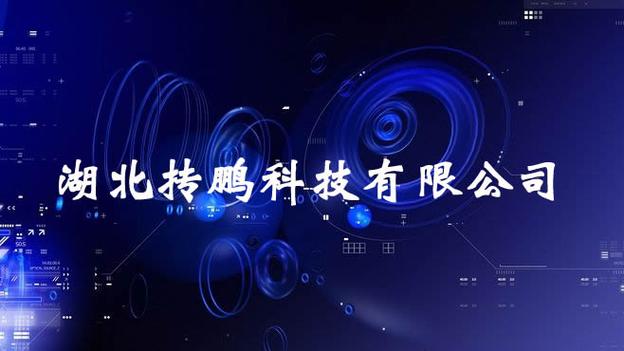 湖北摶鵬科技 深耕網(wǎng)絡(luò)技術(shù)服務(wù)，驅(qū)動(dòng)企業(yè)數(shù)字化轉(zhuǎn)型新引擎